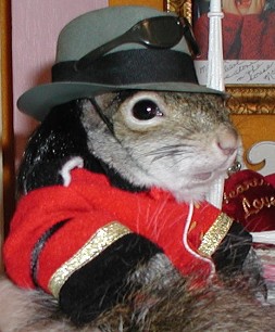 Michael Jackson's been squirreled