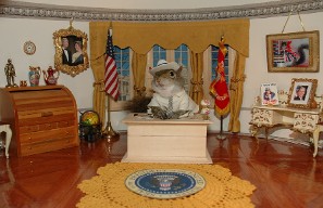 Pres. Bush in the Oval Office