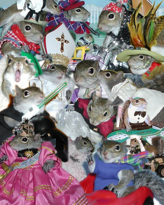Sugar Bush Squirrel Collage by Tara