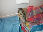 Baby Rhoda's new home