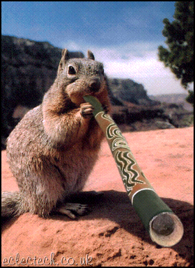 squirrellidoo