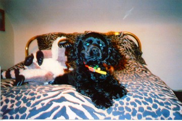 Angel at 5 months old Angel at 5 months old
