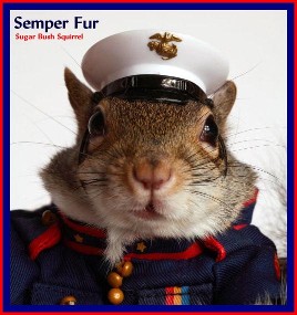 Semper Fur Semper Fur