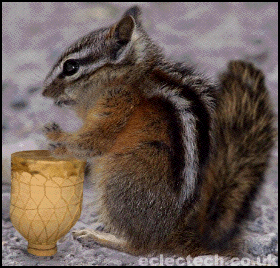 Chipmunk drummer