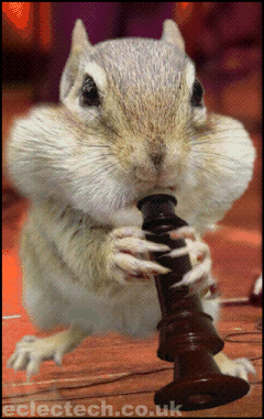 Talented Chipmunk