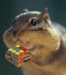Rubik's Cube Chipmunk