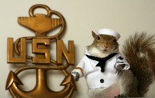 USN Navy