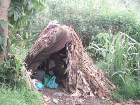 Little huts where the pigmies live