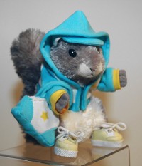 Squirrels in the Hoodie