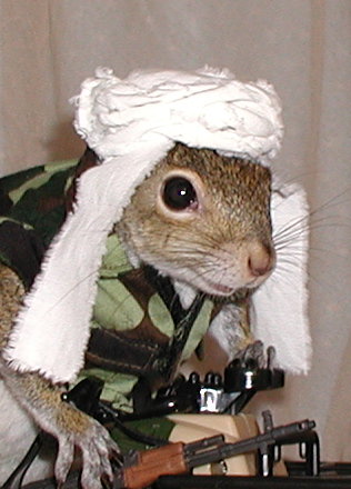 A Happy Holiday to our troops A Happy Holiday to our troops