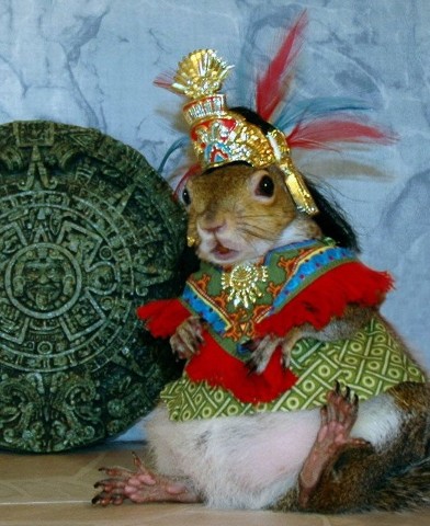 Quetzsquirrelcoatl & the Mayan Calendar