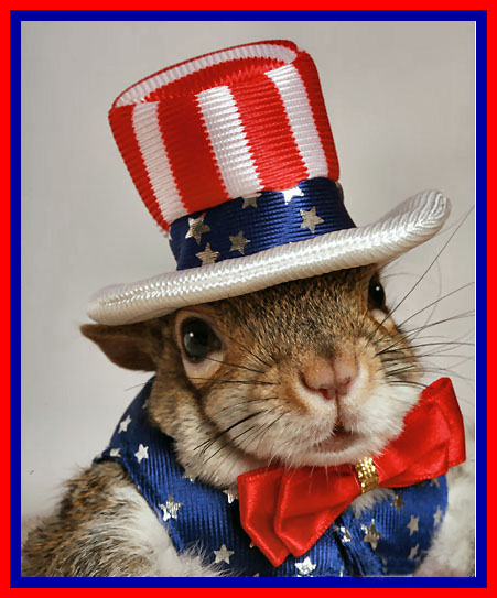 Sugar Bush Squirrel in 2012
