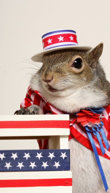 At the debate