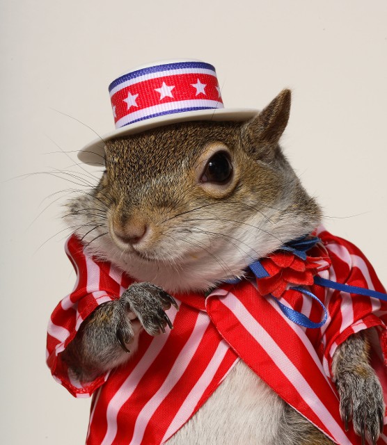 I Want you to vote for me!!!
