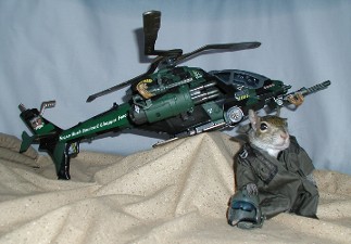  sugar bush squirrel - helicopter pilot in Iraq chopper force