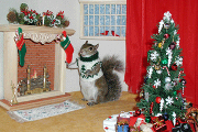 sugar bush squirrel is home for the holidays fireplace