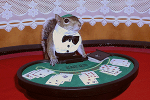 Sugar Bush Squirrel as Black Jack Dealer