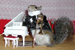 Sugar Bush Squirrel - Trombone Virtuoso