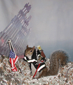 sugar bush squirrel rescue recovery ground zero world trade center new york