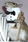 Sugar Bush Squirrel - Trombone Solo