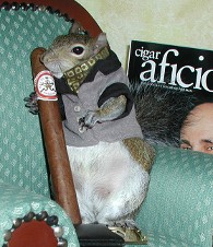 SBS-A Cigar Aficionado