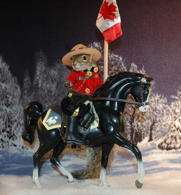 Royal Canadian Mounted Police