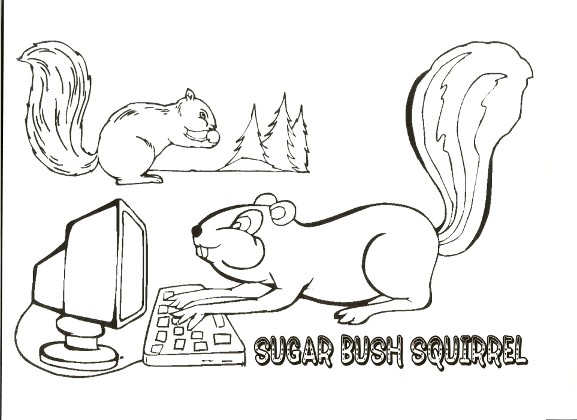 computer squirrel and forest squirrel