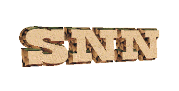 snn the squirrel news network logo