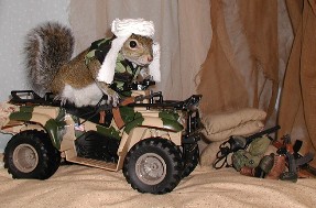 still hunting for osama bin laden...all terrain vehicle