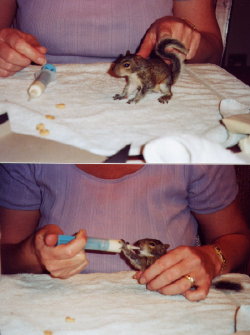 junior as a cute baby