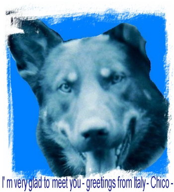 Chico my Italian ePal