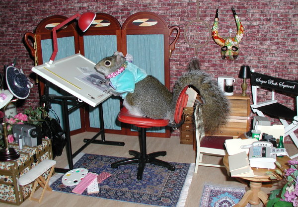 Sugar Bush in her design studio for the Bushy Tail Boutique