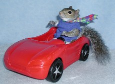 Driving thru life too fast!!! Driving thru life too fast!!!