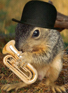 baritone squirrel