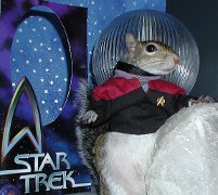 Star Trek Squirrel