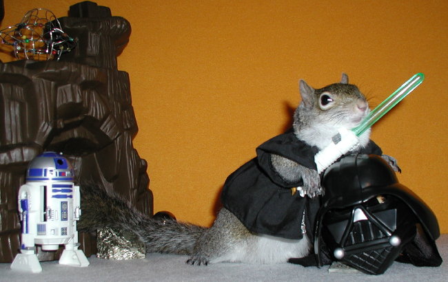 Anutkin Squirrelwalker with lightsaber